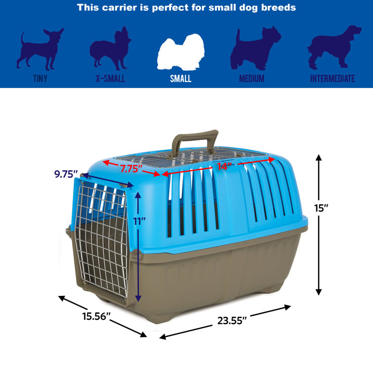 Midwest homes for 2025 pets spree travel carrier